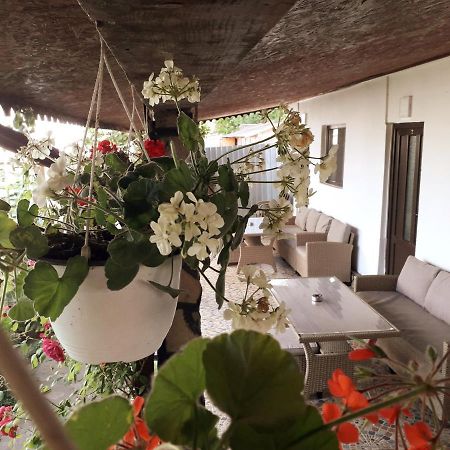 Pensjonat Casa Chitu Murighiol Zewnętrze zdjęcie