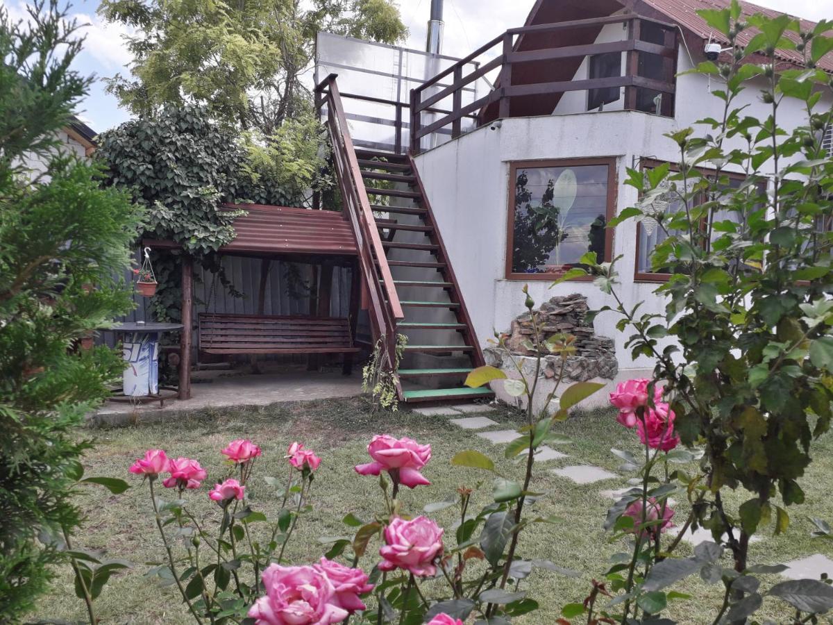 Pensjonat Casa Chitu Murighiol Zewnętrze zdjęcie