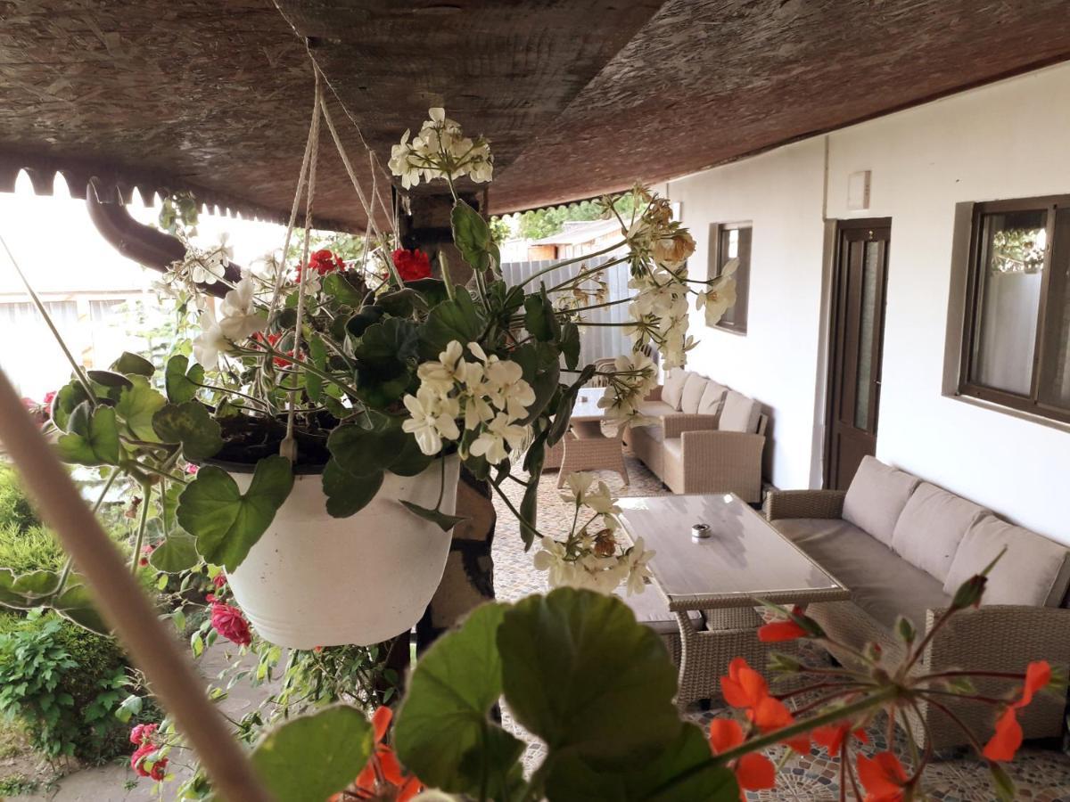 Pensjonat Casa Chitu Murighiol Zewnętrze zdjęcie