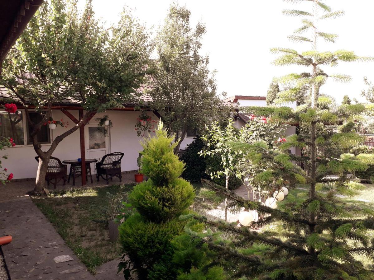 Pensjonat Casa Chitu Murighiol Zewnętrze zdjęcie